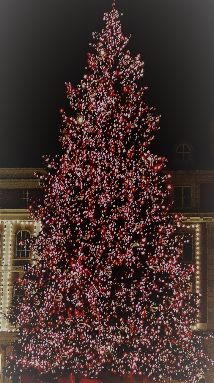 It’s beginning to look a lot like Christmas 