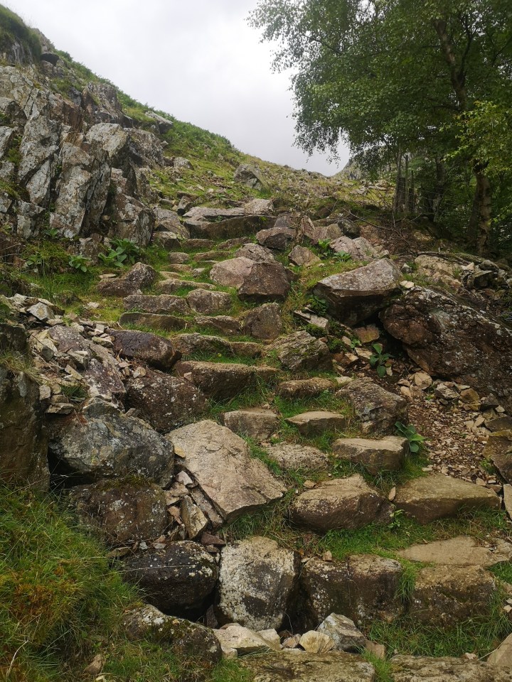 Raised up by a&nbsp;fall